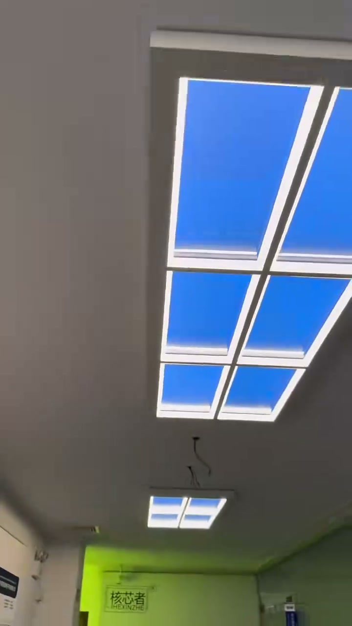 Rectangular Ceiling Panel Effect cover